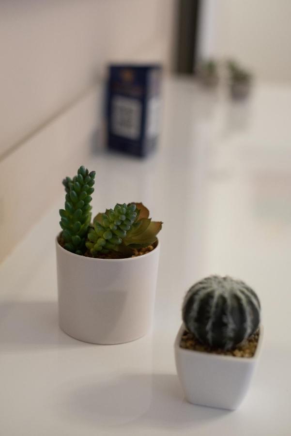 Medluxe Cozy Apartment! 아테네 외부 사진